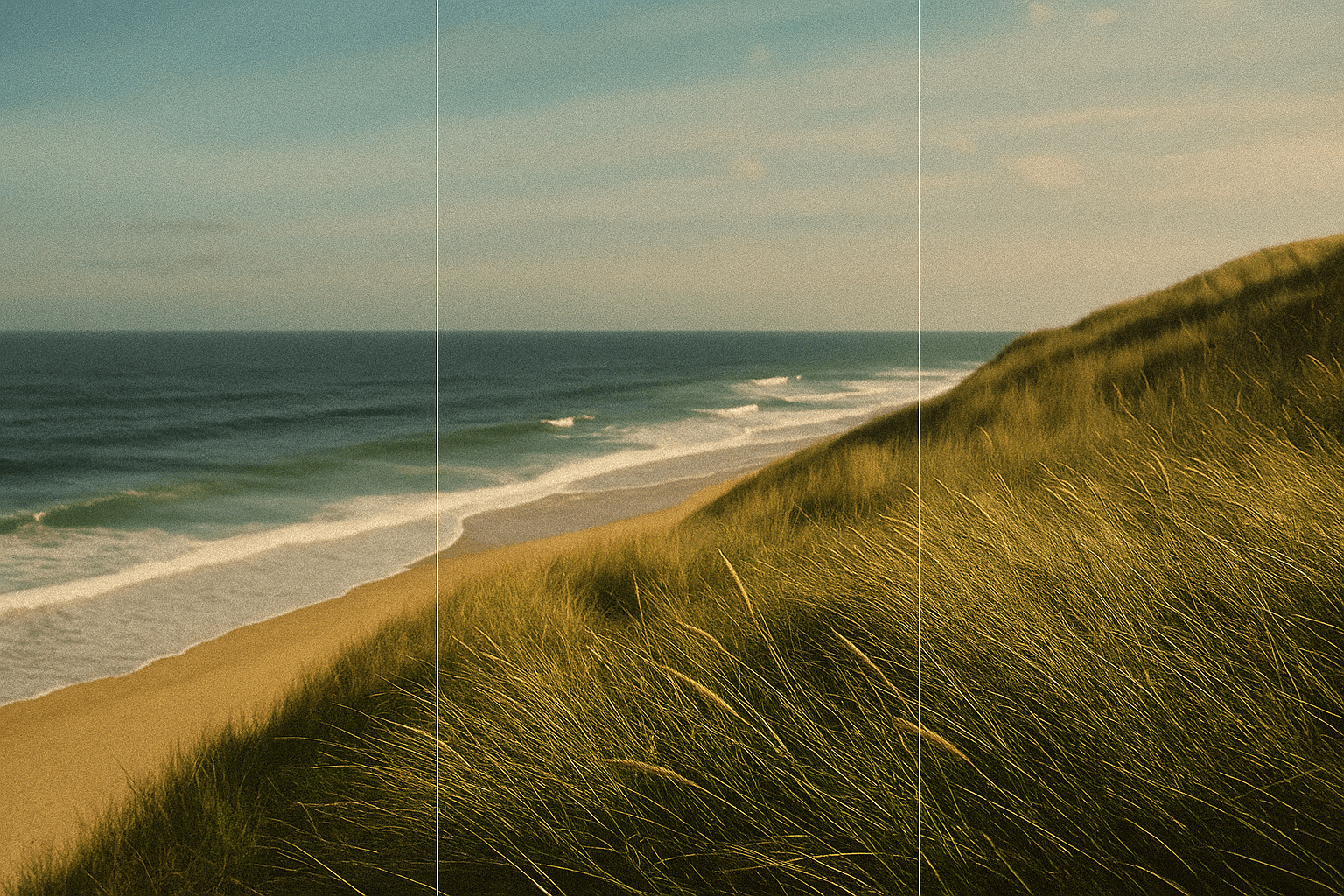 Understands the surface area